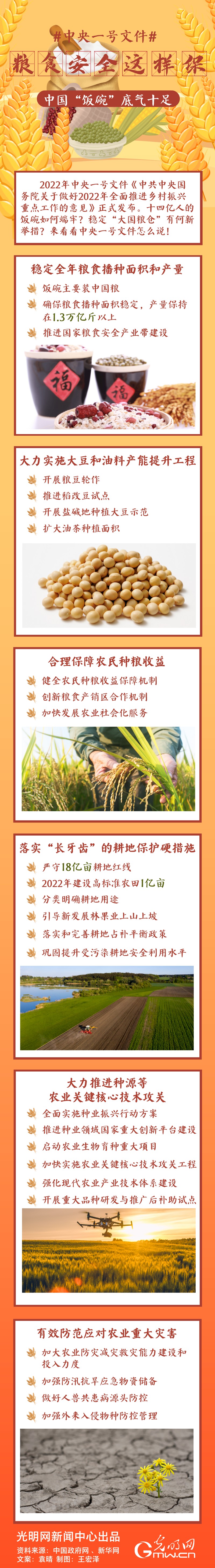 中央一號(hào)文件｜糧食安全這樣保，中國“飯碗”底氣十足