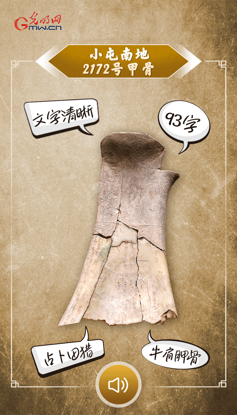 文物會(huì)說(shuō)話(huà) | 殷墟博物館新館開(kāi)館啦，帶你奔赴“千年之約”