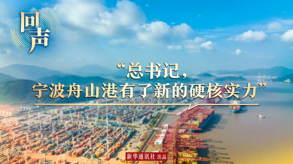 回聲｜“總書記，寧波舟山港有了新的硬核實力”