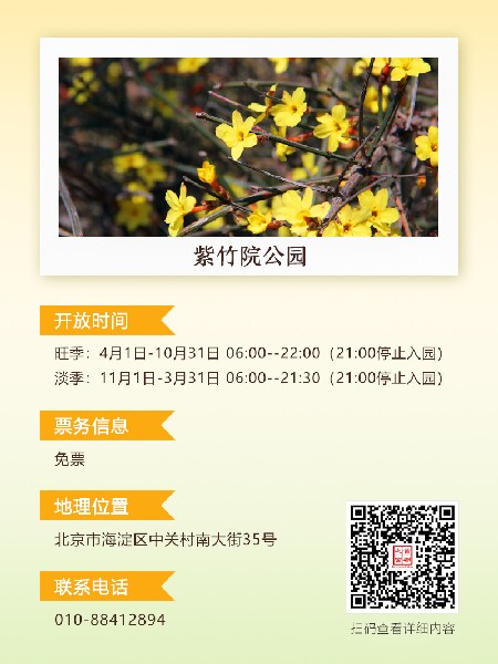 追花指南第二期！京城三月里最撩人的玉蘭觀賞地