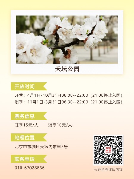追花指南第六期！杏花雨 楊柳風(fēng) 北京最美的杏花在這里