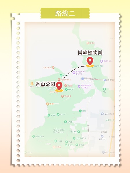 追花指南第六期！杏花雨 楊柳風(fēng) 北京最美的杏花在這里