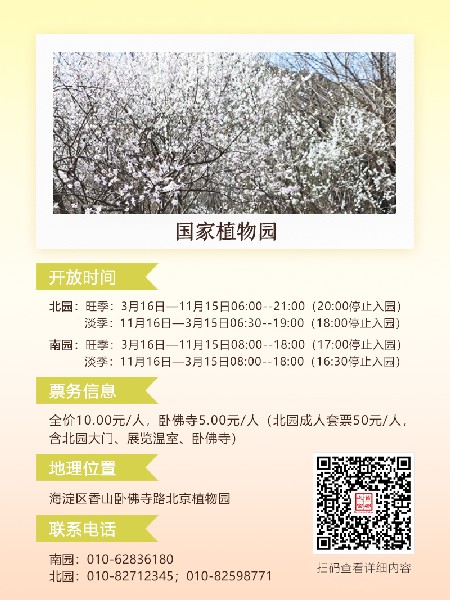 追花指南第六期！杏花雨 楊柳風(fēng) 北京最美的杏花在這里