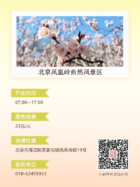 追花指南第六期！杏花雨 楊柳風(fēng) 北京最美的杏花在這里