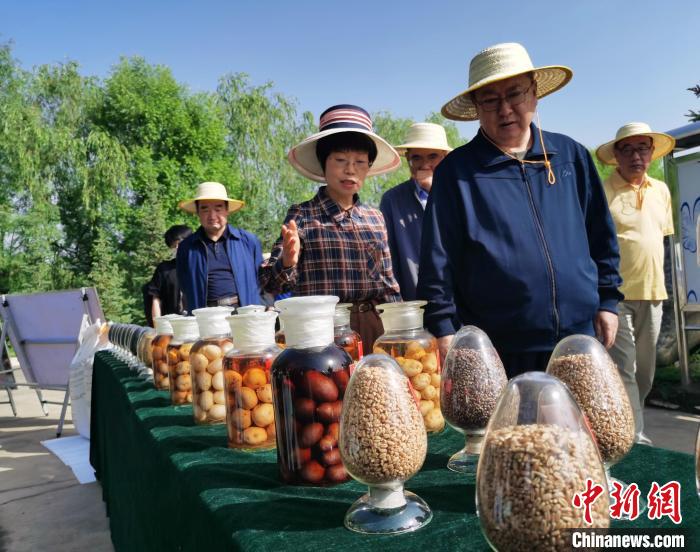 青海：利用冷涼氣候，打造高原綠色種業(yè)輸出地