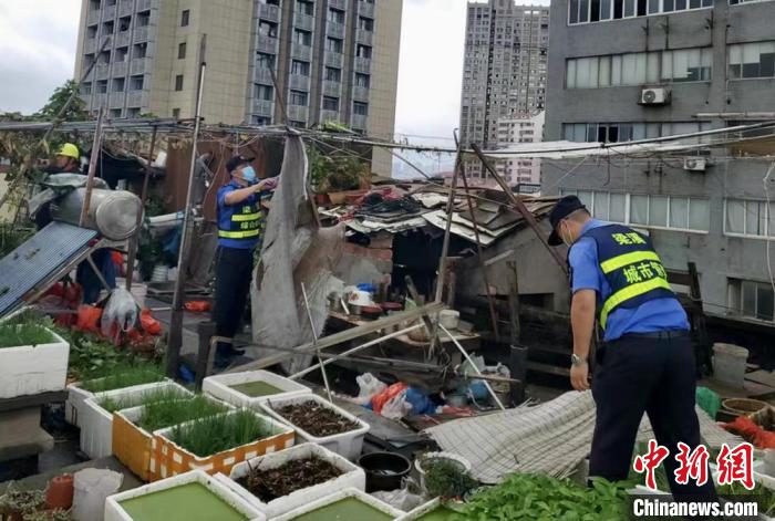 在一處居民樓屋頂，城管隊(duì)員拆除“空中菜園”。　金茜 攝