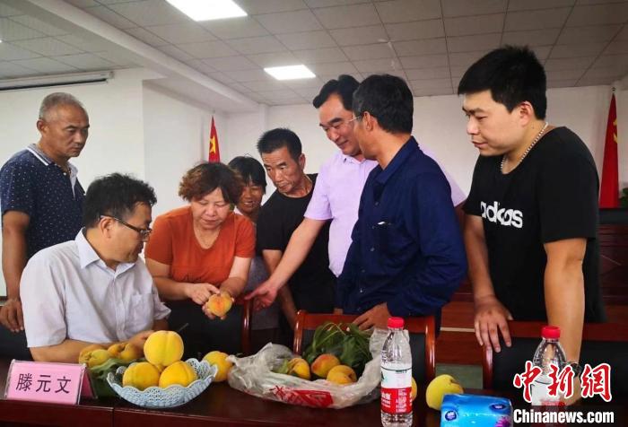 民進(jìn)浙江省委會(huì)為三里橋黃桃種植戶送技術(shù)、送指導(dǎo)。　嘉善統(tǒng)戰(zhàn) 供圖