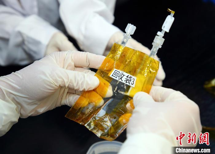 隨神舟十五號(hào)返回地面的空間科學(xué)實(shí)驗(yàn)樣品?！≈锌圃嚎臻g應(yīng)用中心 供圖