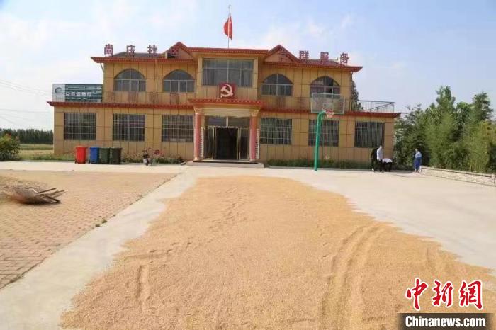 農(nóng)民在邳莊鎮(zhèn)尚莊村黨群服務(wù)中心大院里曬糧?！≠Z萌 攝