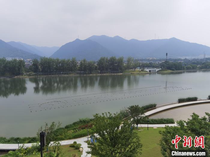 兩岸媒體共探杭州亞運會“綠”在何處？