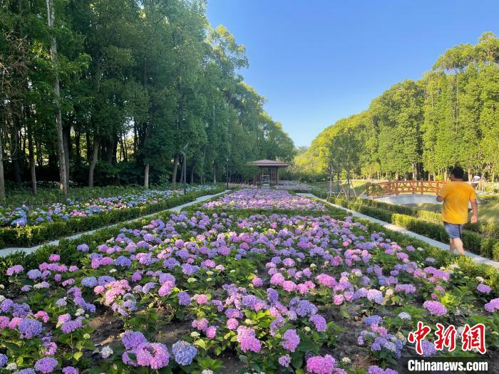 納民意、匯民智上海努力讓“公園城市”建設(shè)真正“合民心”