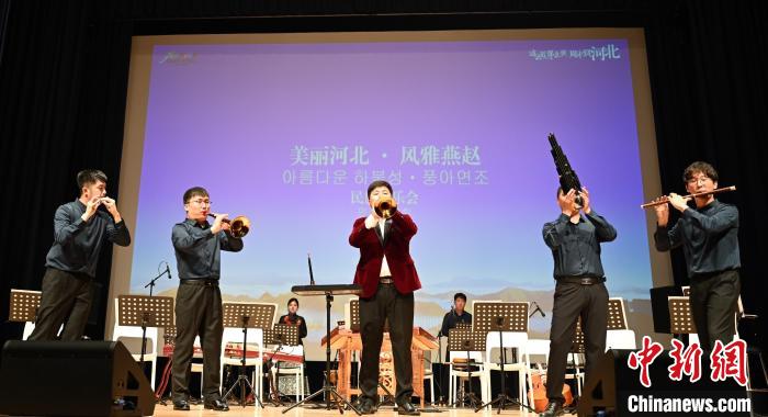 圖為音樂(lè)會(huì)現(xiàn)場(chǎng)?！∈谞栔袊?guó)文化中心供圖