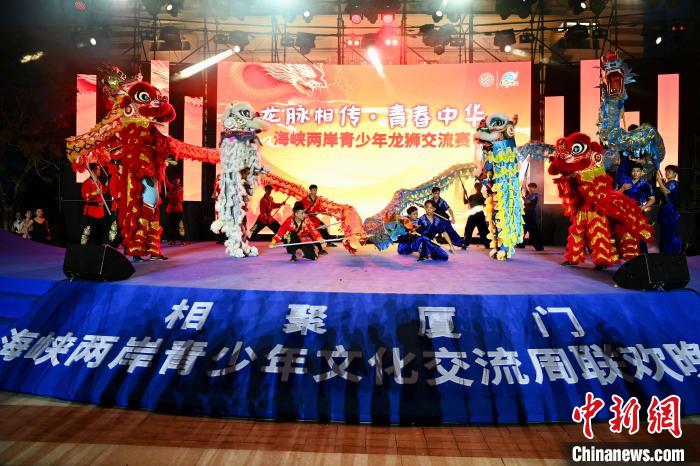 聯(lián)歡晚會上，兩岸青少年同臺呈現(xiàn)龍獅表演。　王東明 攝