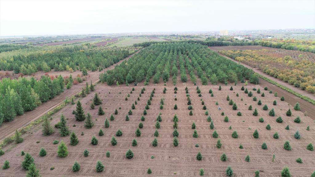 這是2023年9月11日在哈薩克斯坦首都阿斯塔納拍攝的一處植物種質(zhì)資源苗圃（無(wú)人機(jī)照片）。新華社發(fā)（法爾哈特·圖克諾夫 攝）