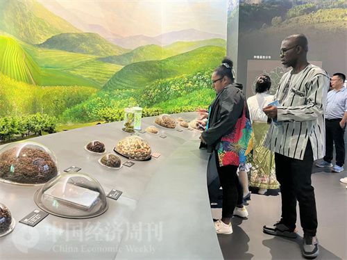   （在中國藥都中醫(yī)藥博物館，外媒記者了解中醫(yī)藥發(fā)展史。中國經(jīng)濟周刊記者 郭志強 攝）