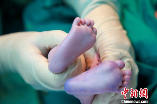 資料圖。簡(jiǎn)文楊 攝