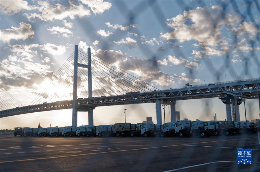 這是11月14日在日本橫濱拍攝的進出口汽車集散場地。新華社記者 張笑宇 攝