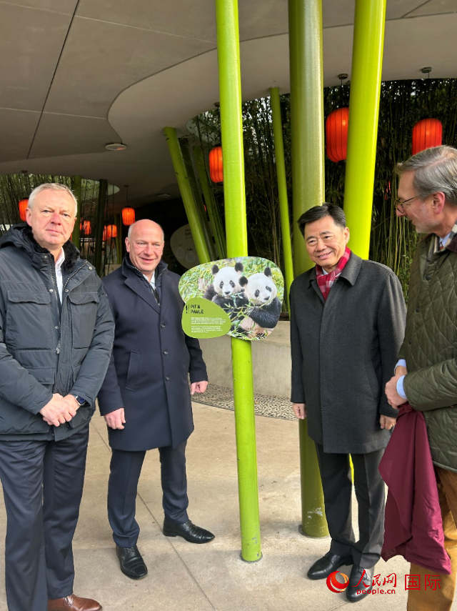 中國駐德國大使吳懇（右二）、柏林市長韋格納（左二）、動物園園長克尼里姆（右一）和監(jiān)事會主席布魯克曼（左一）共同為“夢想”“夢圓”大熊貓紀(jì)念牌揭幕。人民網(wǎng)記者 徐馨攝