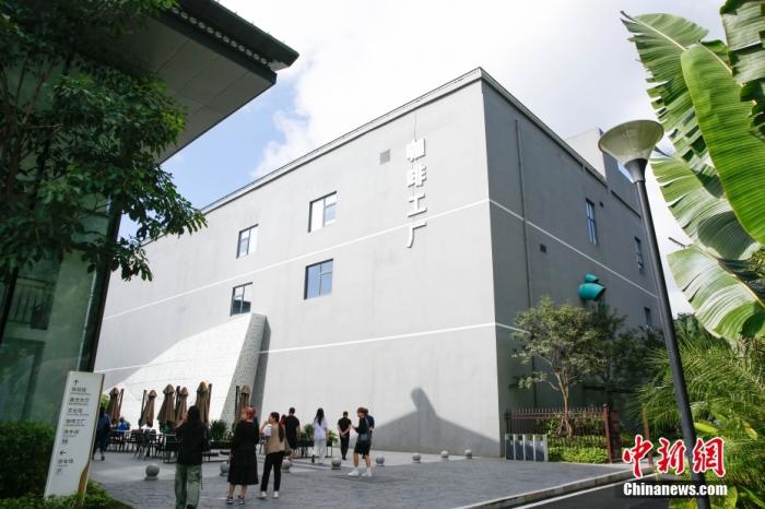 圖為采訪團一行參觀咖啡工廠。 曹淼欣 攝