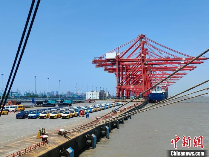 資料圖：國產(chǎn)新能源車在上海外高橋港區(qū)海通碼頭“整裝待發(fā)”?！∑址?攝