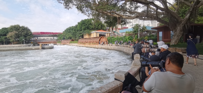 筼筜湖畔，許多攝影愛好者在拍攝白鷺。廈門市觀鳥協(xié)會(huì)彭志偉供圖