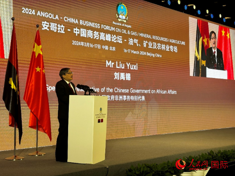 中國(guó)政府非洲事務(wù)特別代表劉禹錫。人民網(wǎng)記者 張榮攝