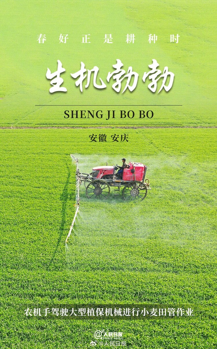 生機(jī)盎然！用課本封面打開春耕畫卷