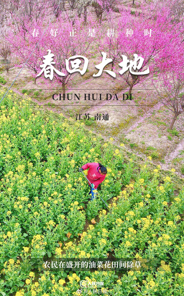 生機(jī)盎然！用課本封面打開春耕畫卷