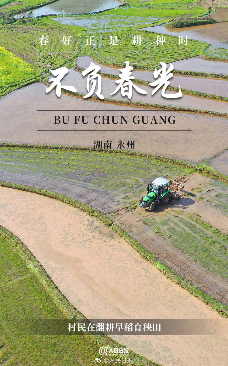 生機(jī)盎然！用課本封面打開春耕畫卷