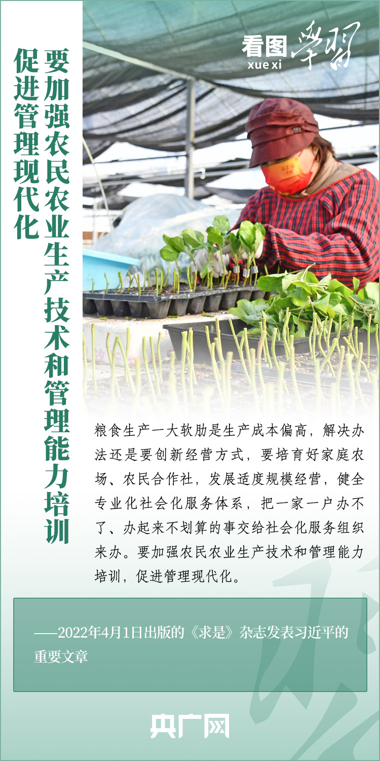 看圖學(xué)習(xí)丨推廣良田、良種、良法、良機(jī) 給農(nóng)業(yè)現(xiàn)代化插上科技的翅膀