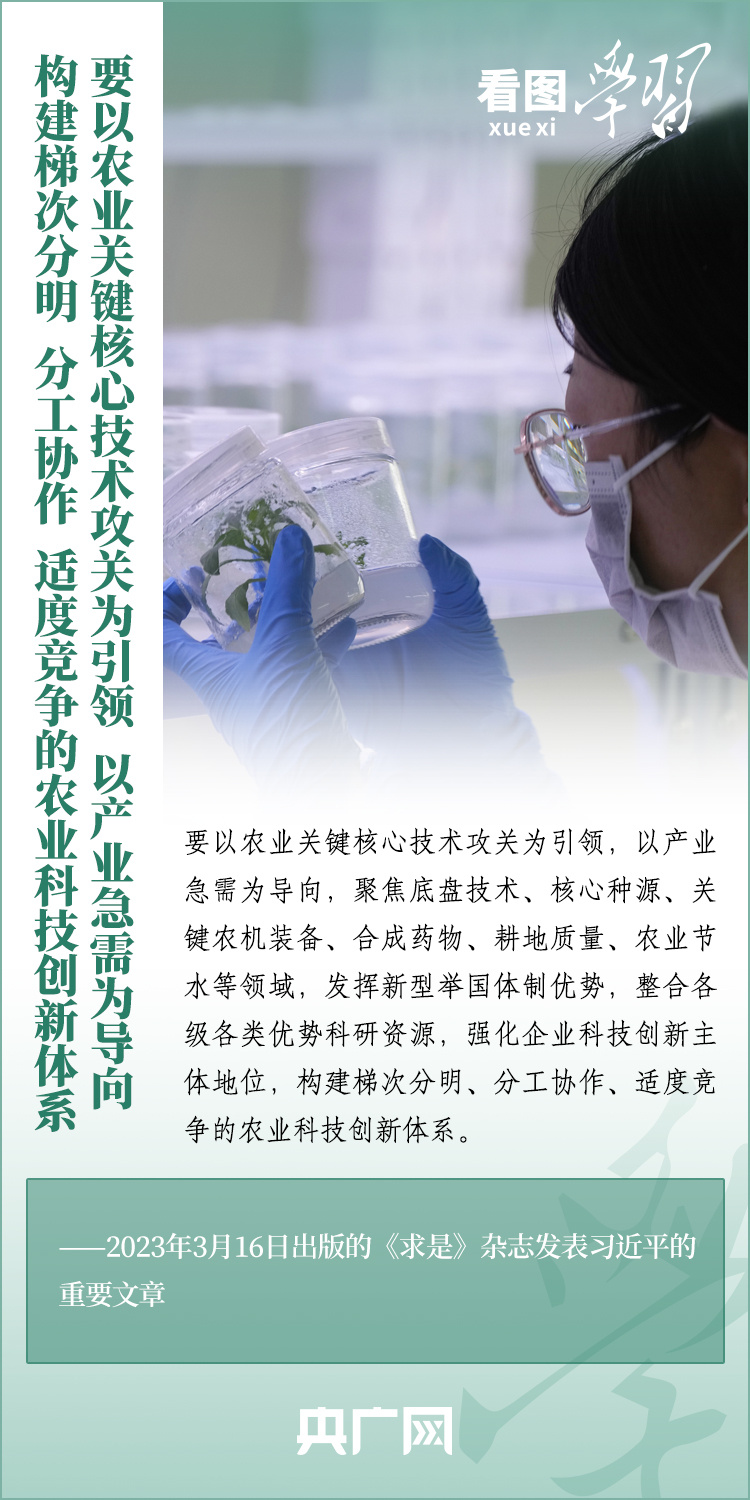 看圖學(xué)習(xí)丨推廣良田、良種、良法、良機(jī) 給農(nóng)業(yè)現(xiàn)代化插上科技的翅膀