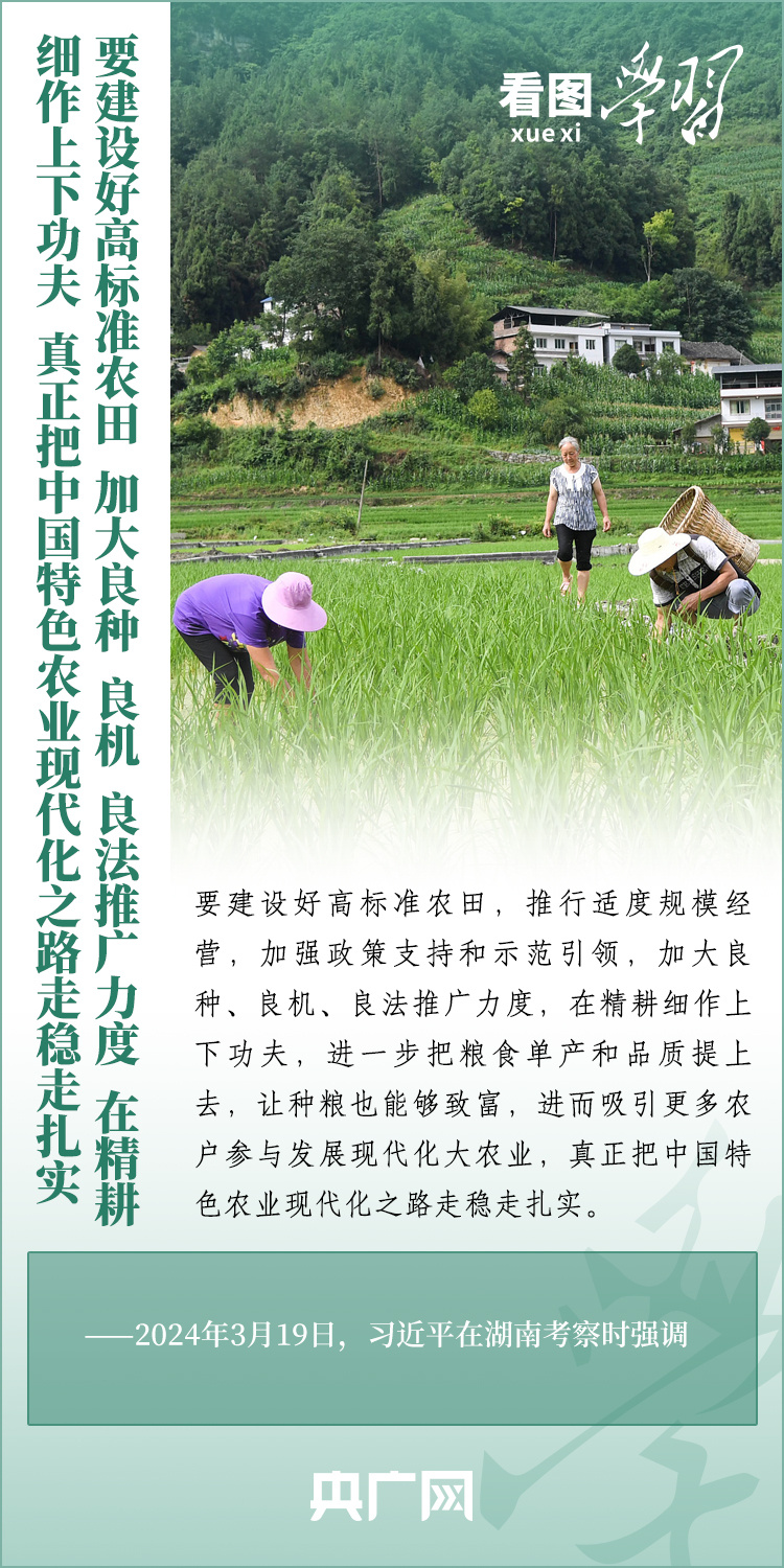 看圖學(xué)習(xí)丨推廣良田、良種、良法、良機(jī) 給農(nóng)業(yè)現(xiàn)代化插上科技的翅膀