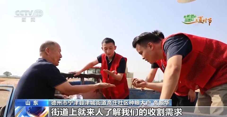 “三夏”生產(chǎn)思維導(dǎo)圖安排上了！還有政府大院等你來(lái)“曬”
