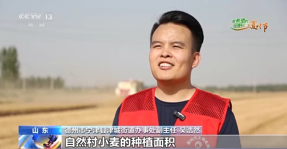 “三夏”生產(chǎn)思維導(dǎo)圖安排上了！還有政府大院等你來(lái)“曬”