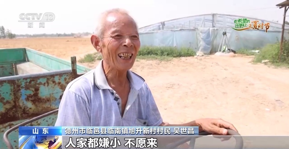 “三夏”生產(chǎn)思維導(dǎo)圖安排上了！還有政府大院等你來(lái)“曬”