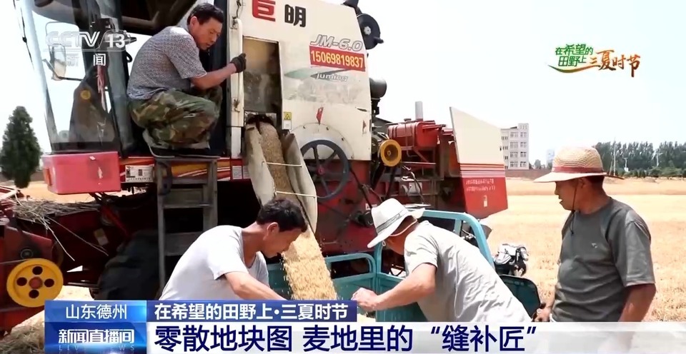 “三夏”生產(chǎn)思維導(dǎo)圖安排上了！還有政府大院等你來(lái)“曬”