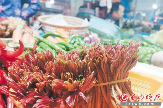 　　農(nóng)貿(mào)市場(chǎng)里鮮嫩的香椿?！　【鶠殚L(zhǎng)沙晚報(bào)全媒體記者 劉捷萍 攝