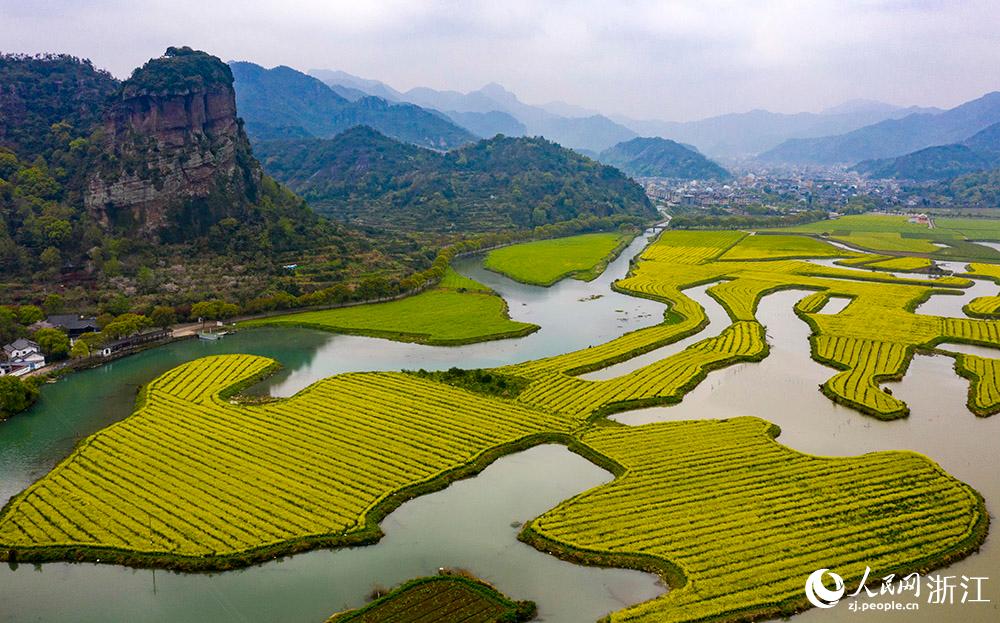 3月28日，航拍浙江省臨海市桃渚鎮(zhèn)桃江十三渚盛開(kāi)的油菜花景色。人民網(wǎng) 章勇濤攝