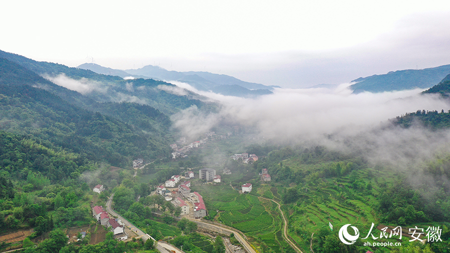 雨后的金寨大灣村，云霧環(huán)繞，宛如一幅田園山水畫卷。人民網(wǎng) 張俊攝