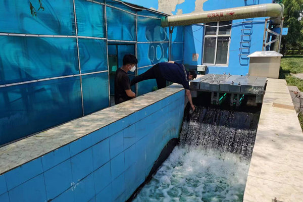 邯鄲市雞澤縣藍(lán)天污水處理廠員工正在出水口進(jìn)行水質(zhì)檢測。鄭佳欣攝