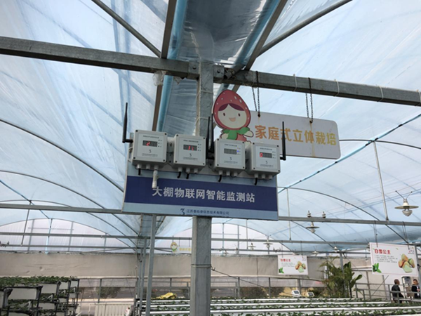 都市四季果園內(nèi)的物聯(lián)網(wǎng)智能監(jiān)測站系統(tǒng)。東?？h委宣傳部供圖