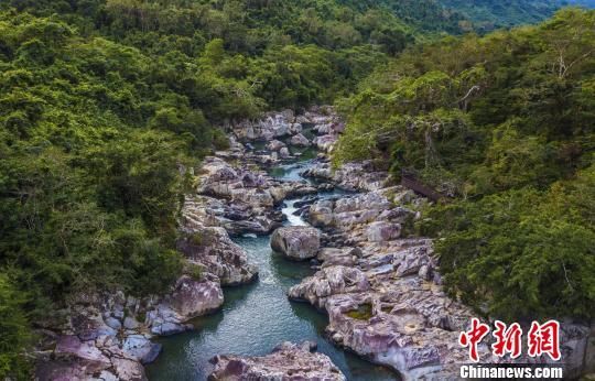 2018年海南生態(tài)環(huán)境狀況等級為“優(yōu)”，植被覆蓋率高，生物多樣性豐富，生態(tài)系統(tǒng)穩(wěn)定，圖為海南中部熱帶雨林?！●樤骑w　攝