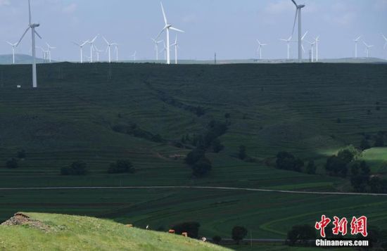 6月28日，河北張家口張北草原上大片風力發(fā)電的“風車”規(guī)模宏大。 中新社記者 楊艷敏 攝