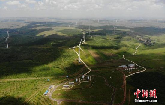 6月28日，河北張家口張北草原上大片風力發(fā)電的“風車”規(guī)模宏大。 中新社記者 楊艷敏 攝