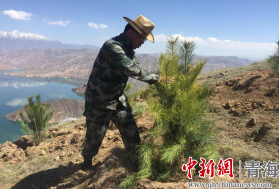 圖為尖扎干部職工生態(tài)建設(shè)和環(huán)境保護(hù)現(xiàn)場(chǎng)。尖宣 供圖