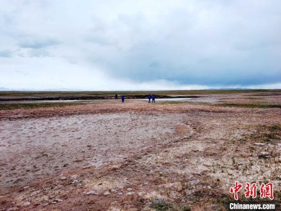 圖為救援力量在青海省西部搜救失聯(lián)的江蘇南京某大學(xué)女生黃某某。海西州藍(lán)天應(yīng)急救援中心 供圖