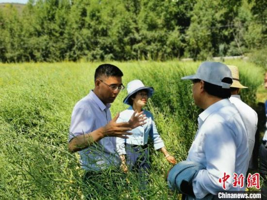 圖為九三學社青海省委主委杜德志(左一)在基層調(diào)研。受訪者供圖