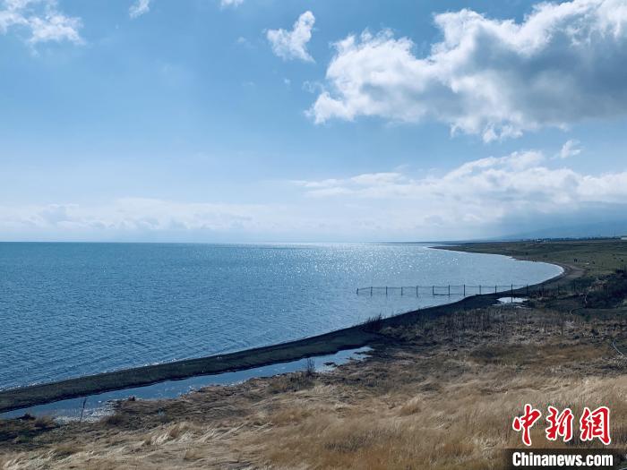圖為青海湖畔。(資料圖) 張傲 攝