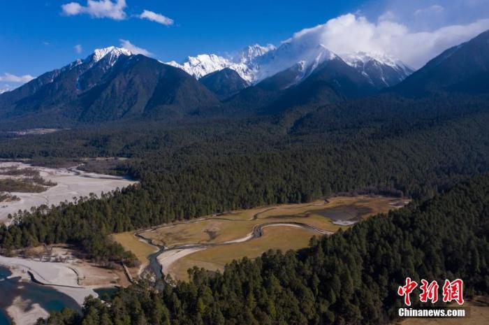 資料圖：西藏崗云杉林與遠處的雪峰。 何蓬磊 攝
