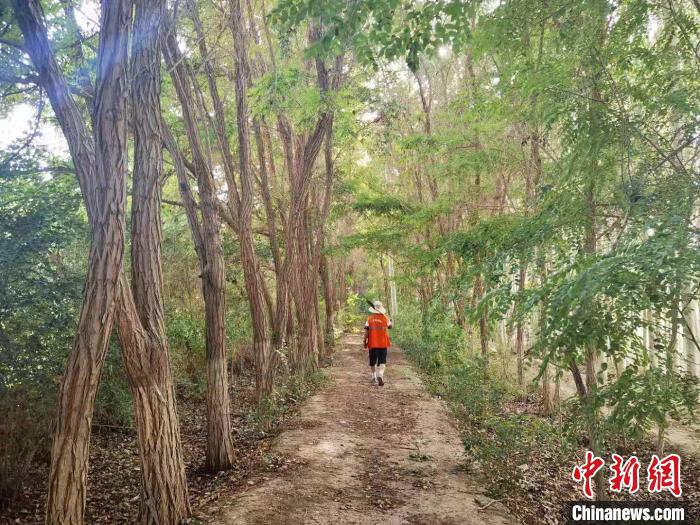 戈壁灘上的護(hù)林員：以前風(fēng)吹睜不開(kāi)眼，現(xiàn)在滿眼皆綠色